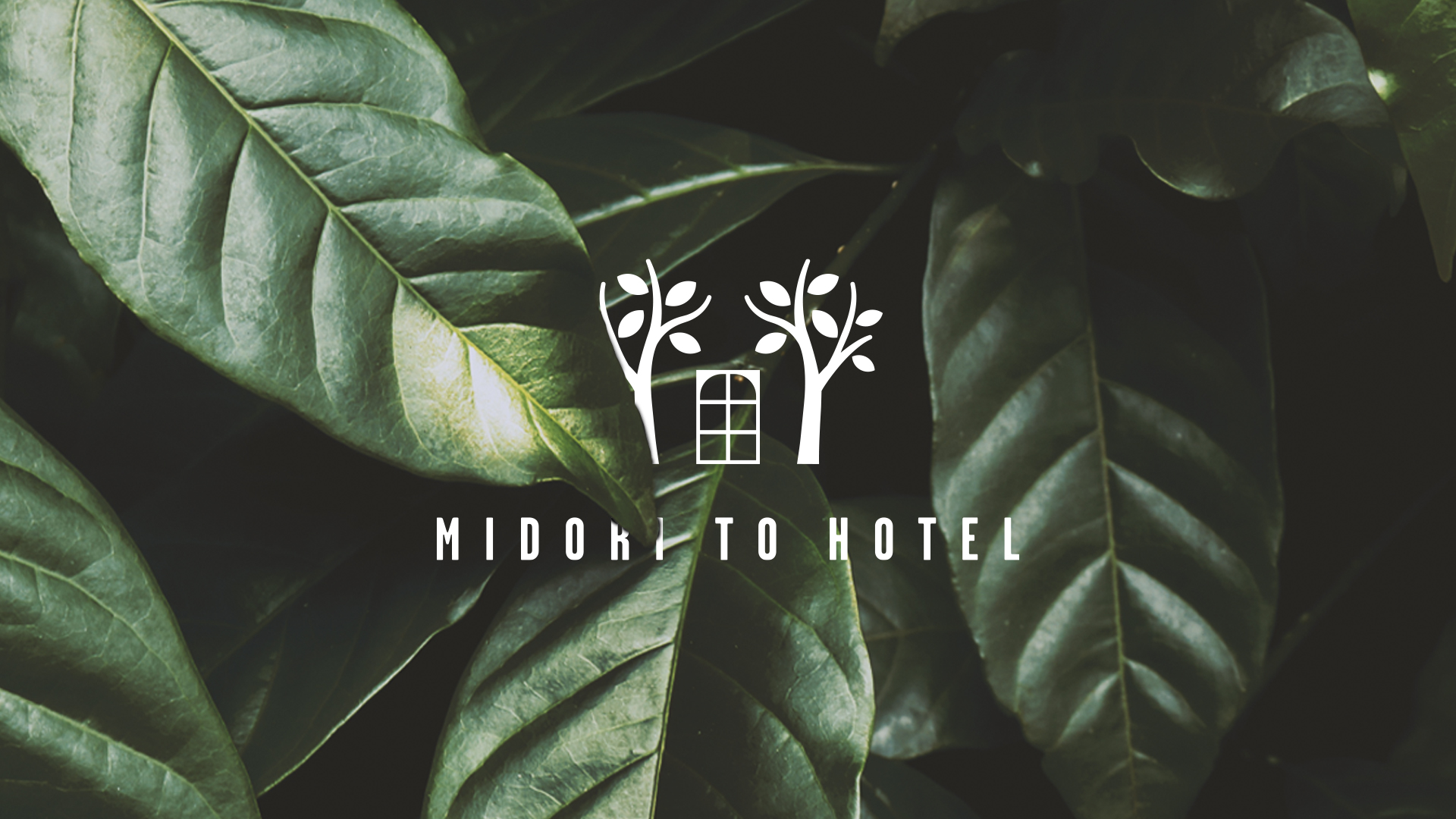 MIDORITOHOTELビジュアルコンセプト3